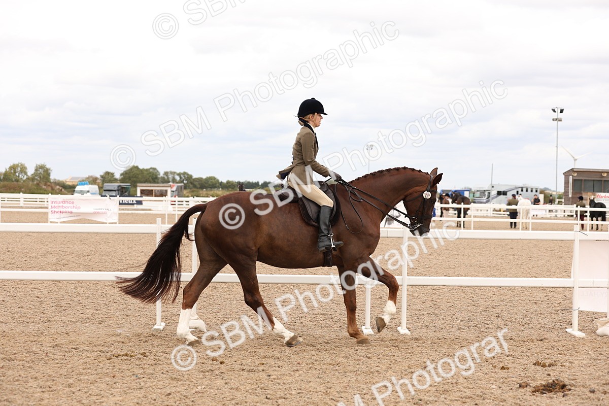 SBM_17216 - Class 213 - Ridden Hunter - Large