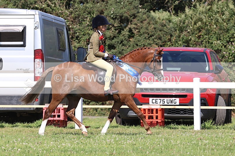JPP_2160 - Cornish Combination Championship