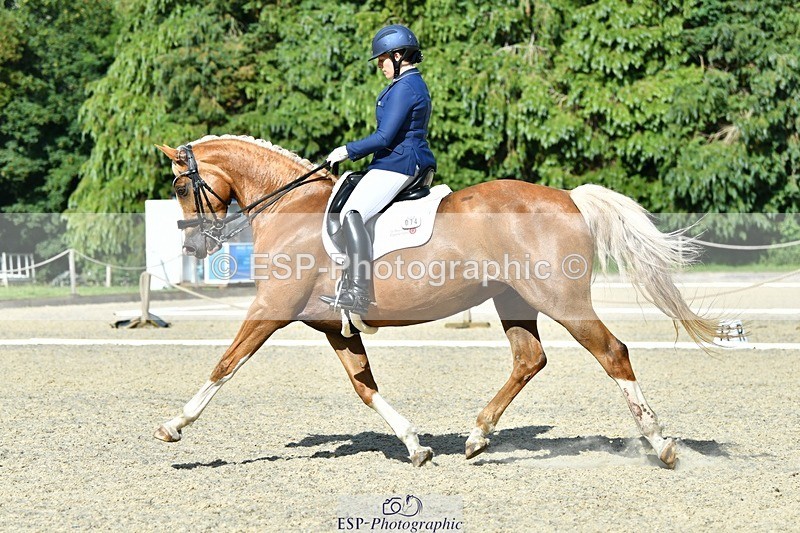 230623-165512-02928 - Cls 9 Advanced Medium 91Q