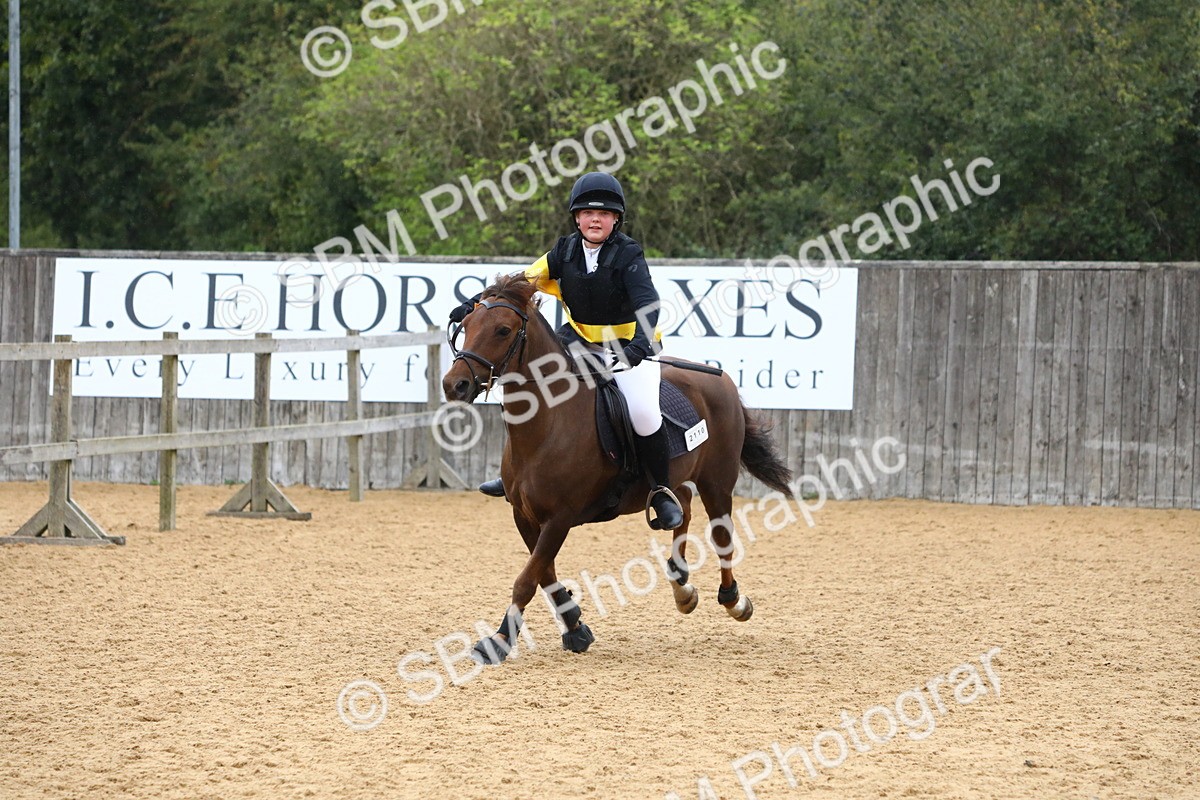 SBM_72127 - J3b - Mini Tour Junior Pony 40cm Championship