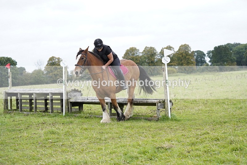 _DSC8135 - Time at Photographer 11:57 to 12:36