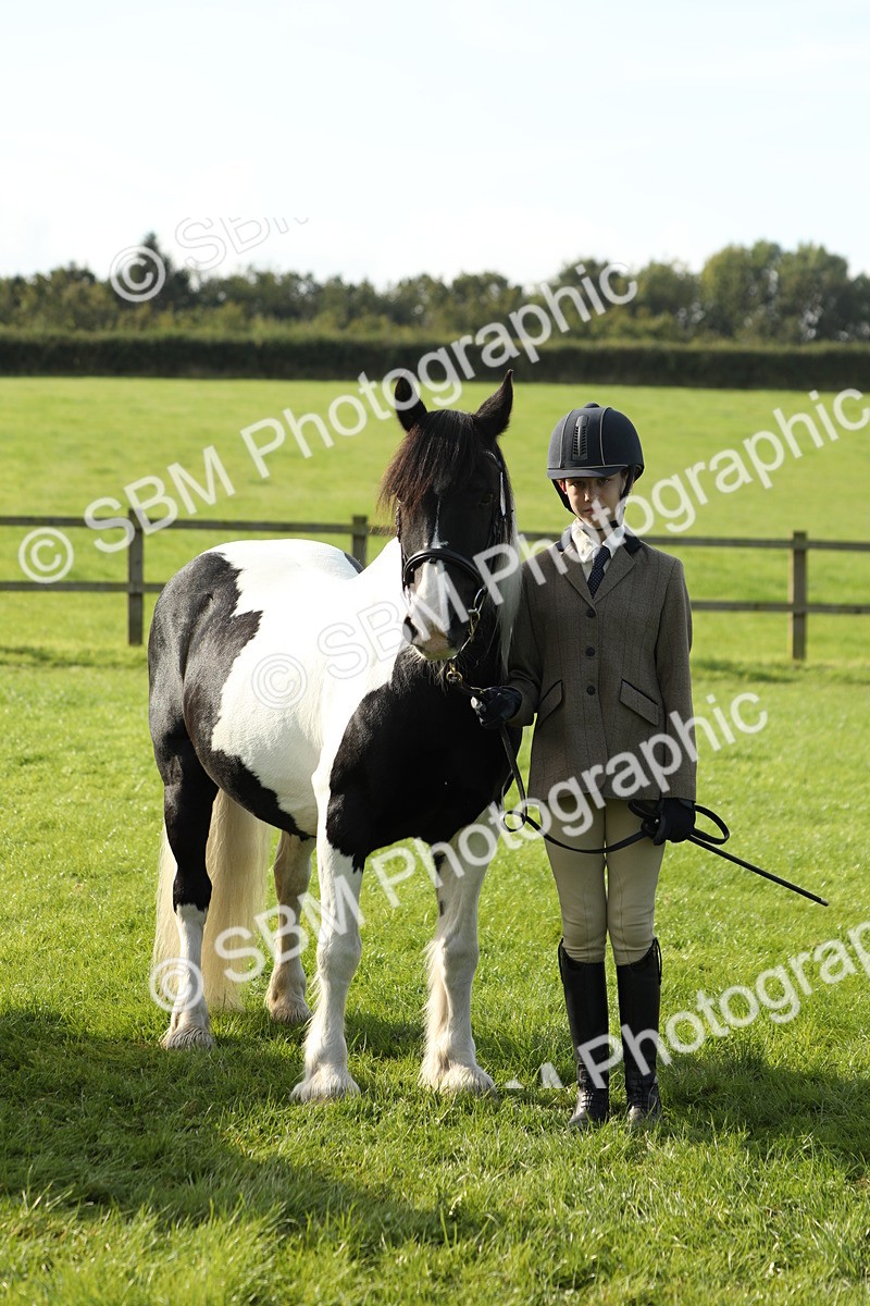 SBM_60974 - S43 - Coloured Pony In Hand