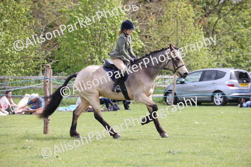 20260426-4346 - Class 34 - Best Riding Horse Over 14.2hh