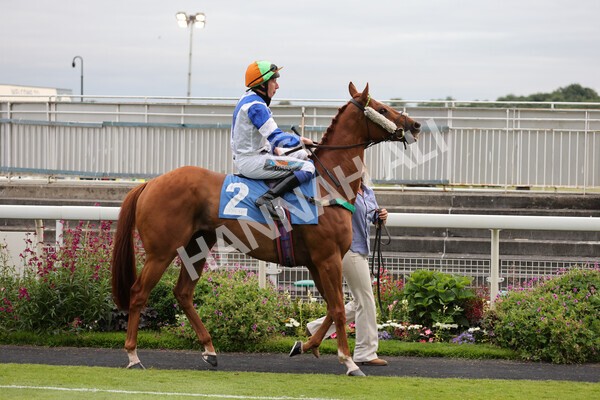 yr23072021r5-3 - Race 5 8.00pm Gallop Racing Stakes