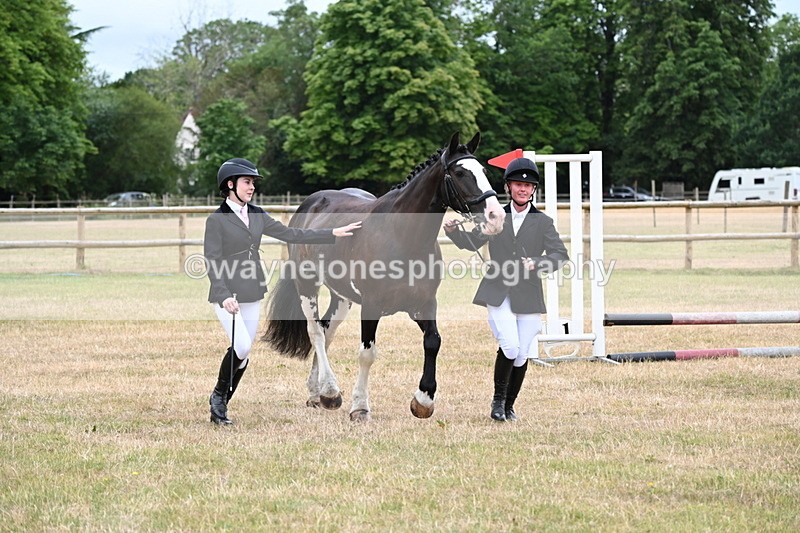 WJ6_4415 - Class 10 Coloured In-hand