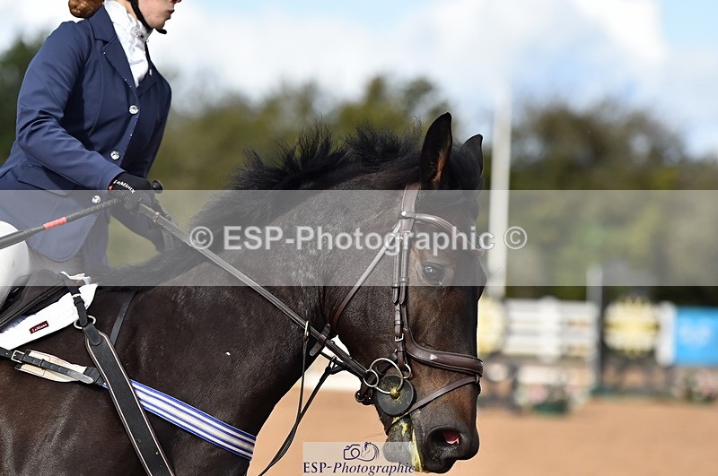 231014A-111744-03986 - Cls 13 85cm Amateur Q 2nd R