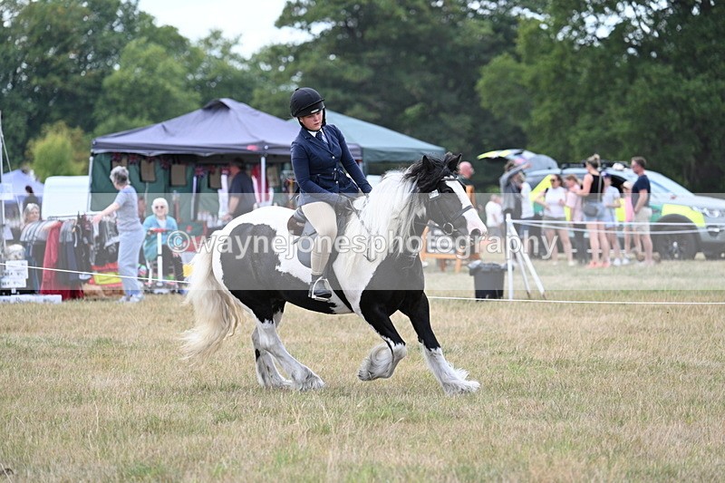 WJ7_5357 - Class 12 Ridden Cob