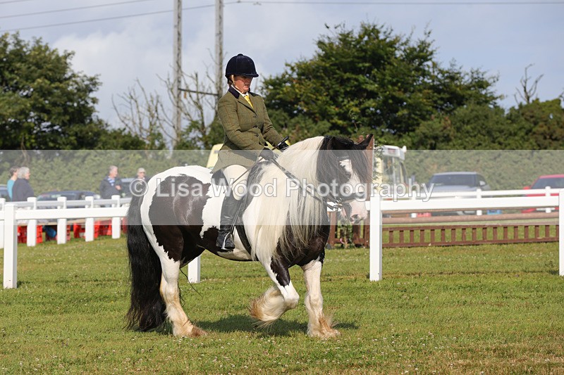 1X9A3346 - Class 28: Ridden Native/Trad Coloured Pony