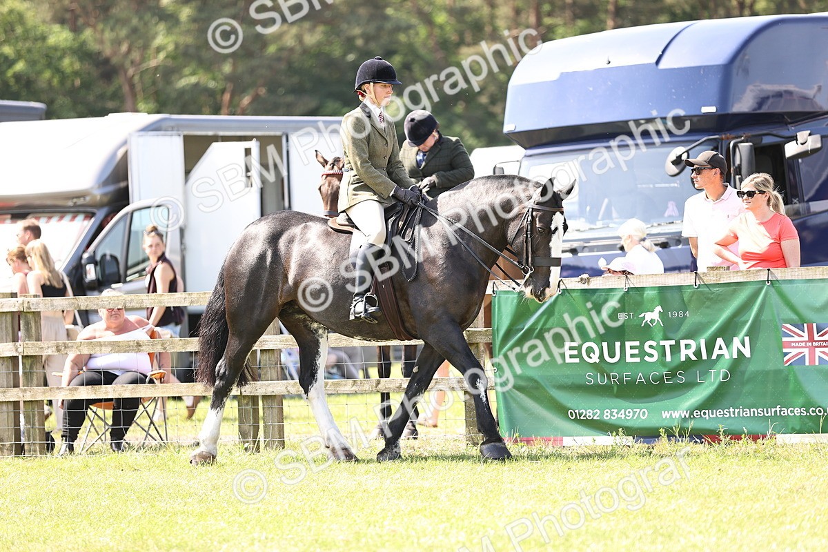 SBM_13681 - Class 77 - LIHS BSHA Rising Star Cobs