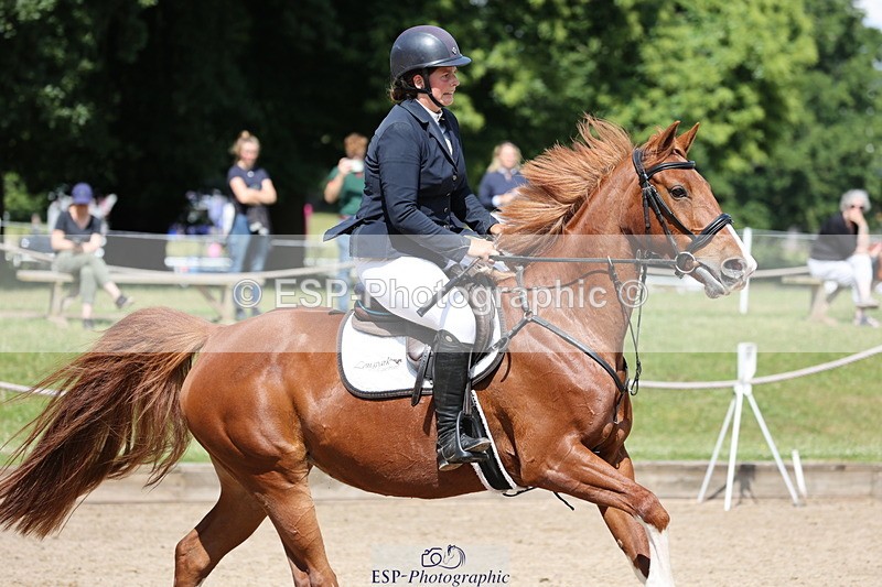 250614A-105309-05829 - Cls 26 British Novice and 90cm Open