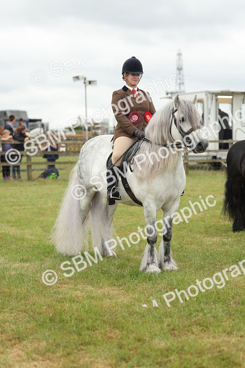 SBM_09037 - Class 78-80 - Ridden M&M Non Welsh Ponies