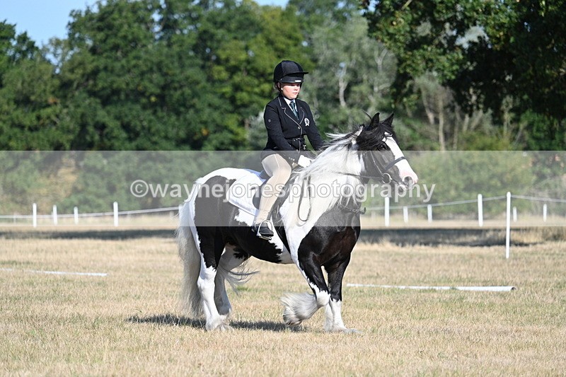 WJ7_8809 - Time 09:00 to 09:24