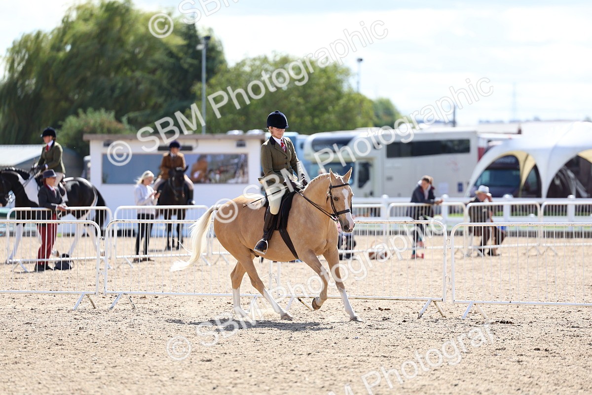 SBM_13325 - Class 311 - Ridden Show Pony Show Hunter Pony