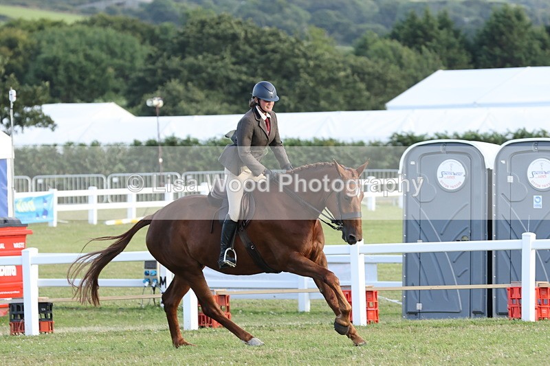 JPP_3784 - Working Hunter Championship