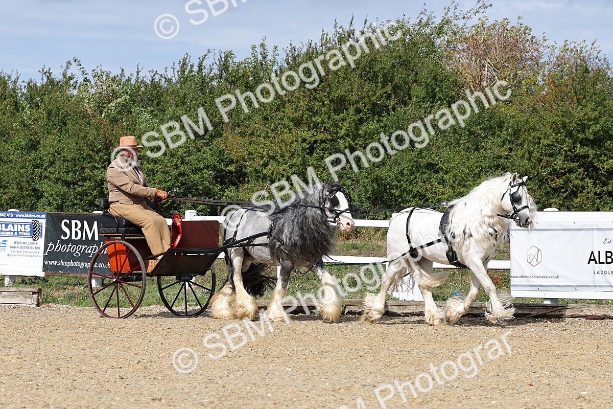 SBM_001265 - Class 16 - Pairs ,Multiples and Tandems