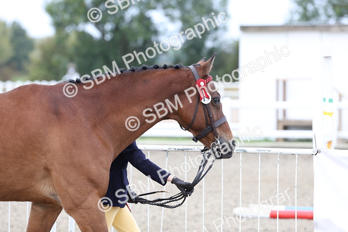 SBM_00029 - Class 50 - Best Turned Out IH