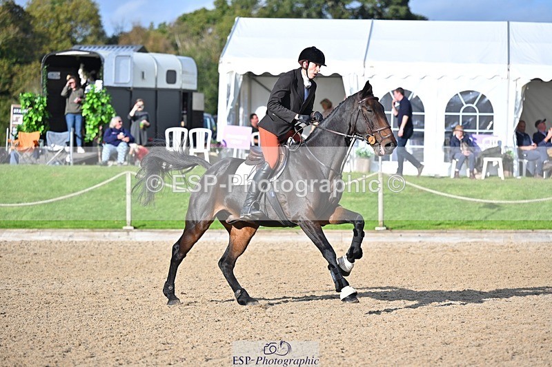 241027-135746-17667 - 556-Marshall.David.Johnson-SILVER.BAY