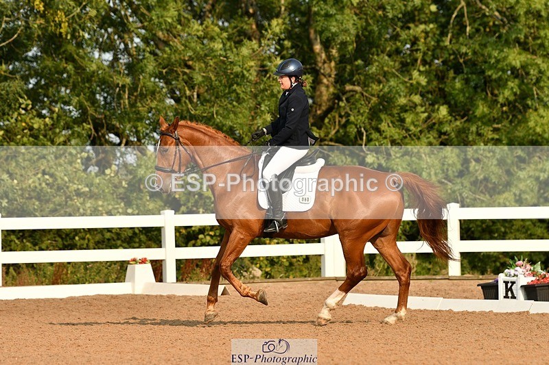 250817-090121-06730 - 080-Elizabeth.StoneZiggy