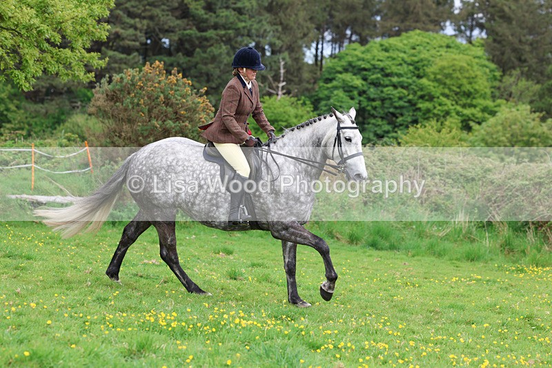 3E7A1298 - Class 7: Ridden Hunter Type