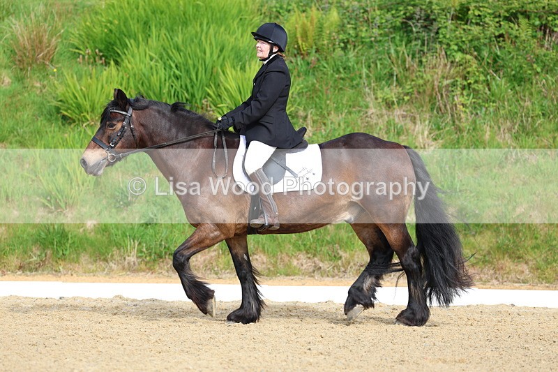 3E7A3331 - Class 2: INTRO B- INTRO 3 2024