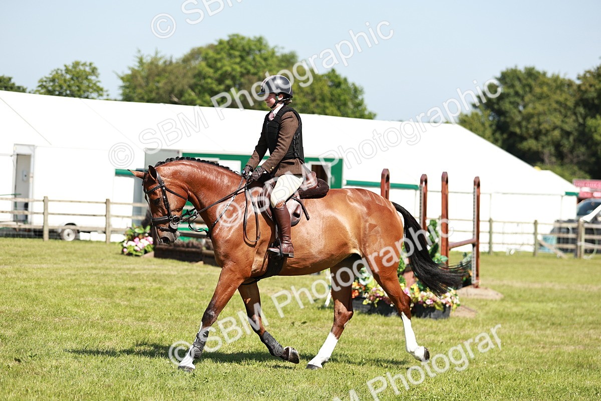 SBM_18310 - Class 112-113 - BSPS LIHS Working Sports Pony