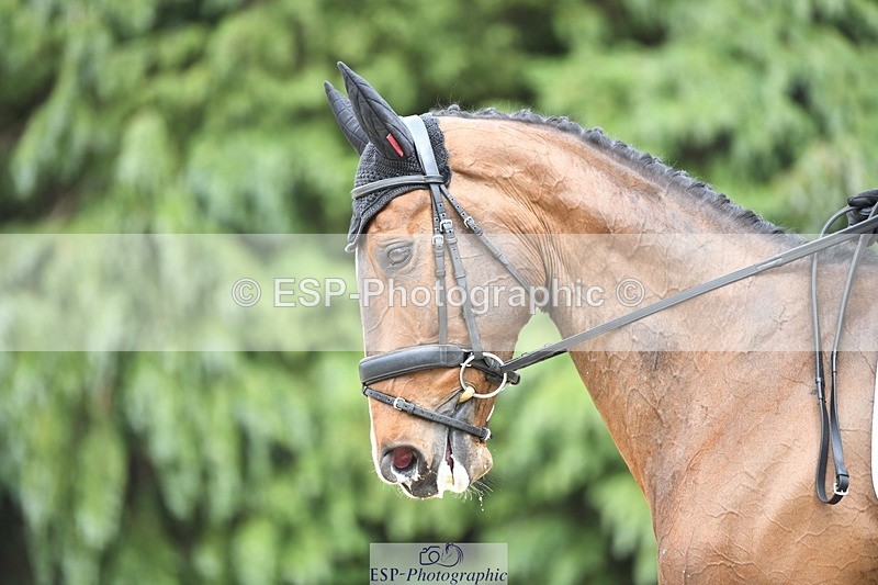 230525-150334-03187 - 324-DRUMGIVEN_MR_CHARISMA-Jeanette_Brakewell-WEDTrotUp+DR