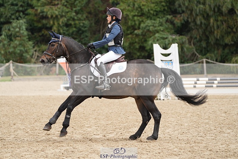 250824A-121436-35885 - 2053-Ava.Sampson-Chameleon