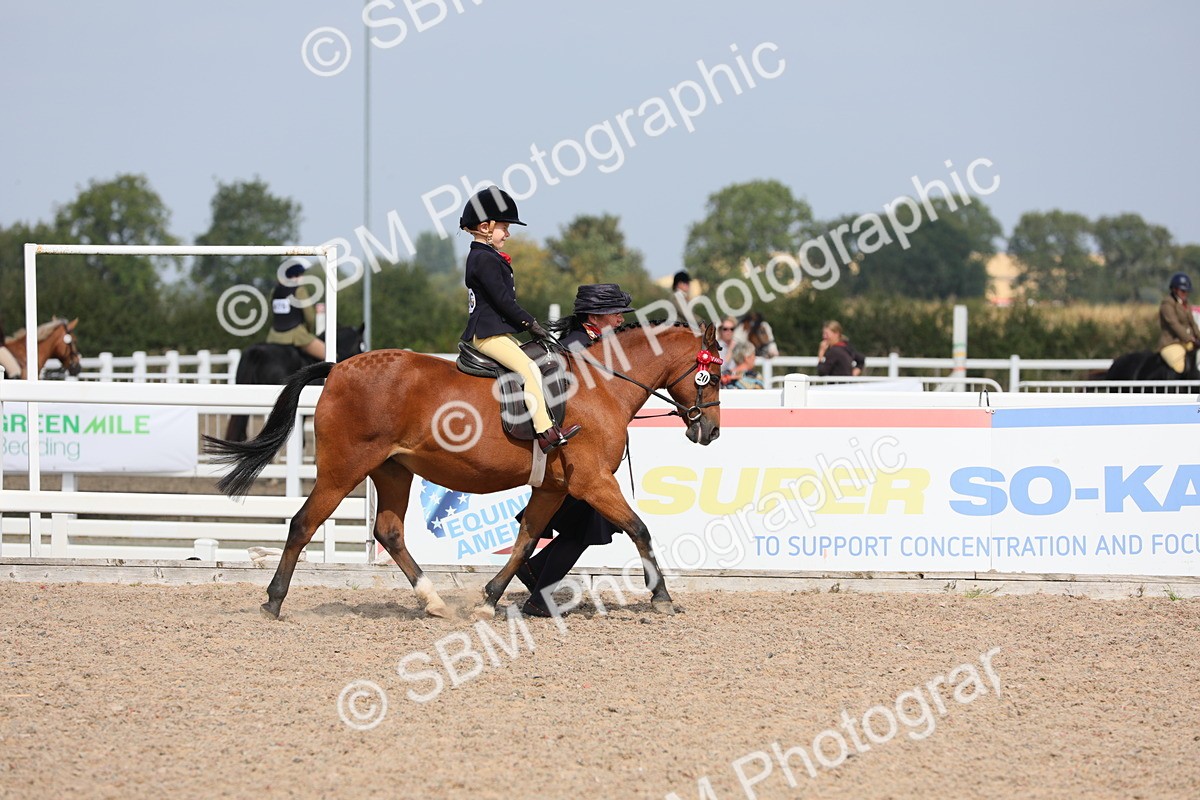 SBM_14057 - Class 309 Lead Rein Pony