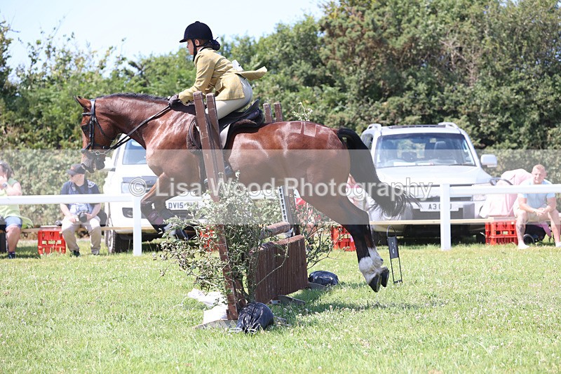 JPP_2999 - Class 22: Working Hunter 70cm