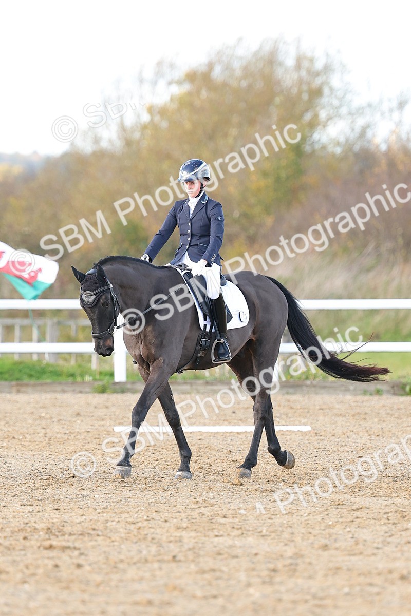 SBM_001390 - Medium 3