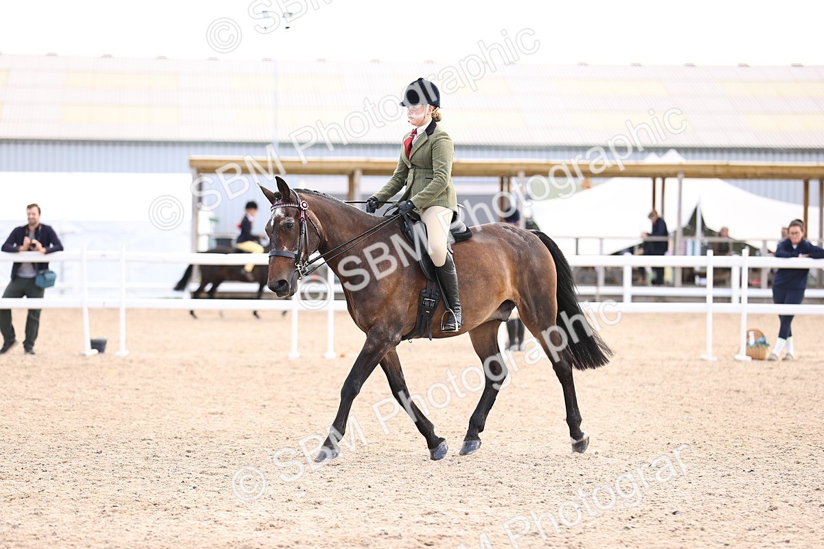 SBM_12963 - Class 410 - Grassroots Ridden - Horse