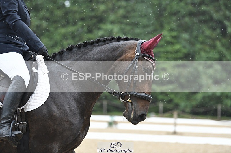 240720-124334-04926 - 134-Jane_Dyer-Maen_Valley