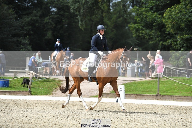 230812-122100-04096 - Cls 6 Novice Silver 12.10 to End