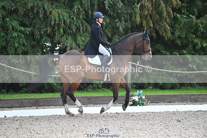 231019-110625-02048 - 105-BRIGHT.KNIGHT.III-Janet.Clarke-DR