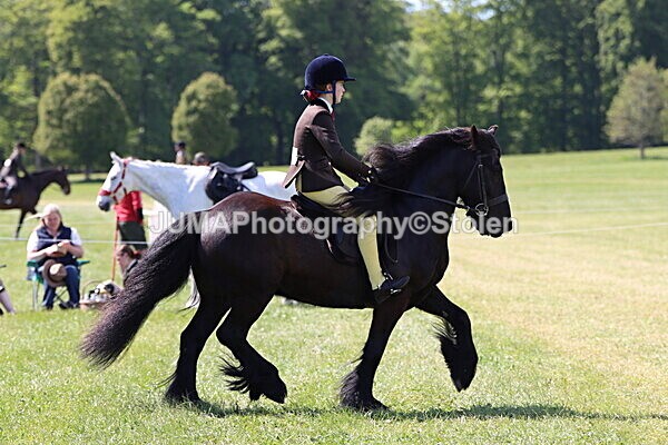 IMG_4391 - Working Hunter