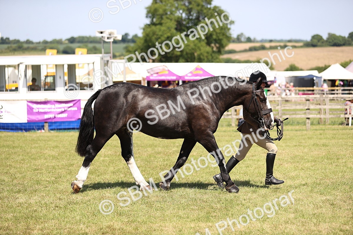 SBM_17929 - Class 81-83 - TSR Ridden Amateur of the Year - Horses