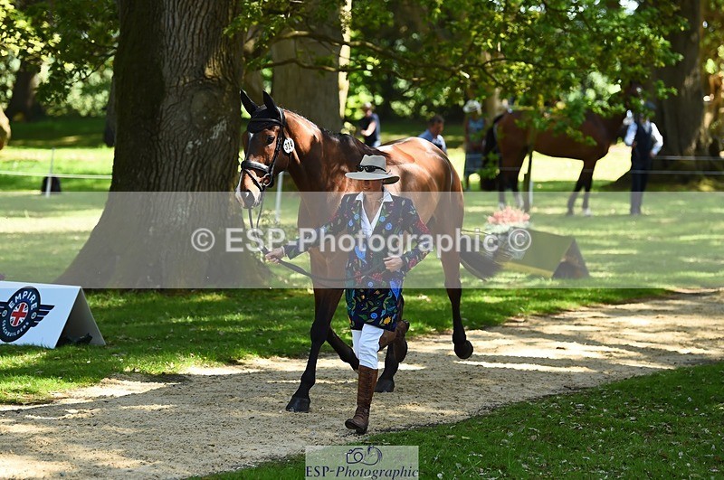 230524-152122-00220 - 324-DRUMGIVEN_MR_CHARISMA-Jeanette_Brakewell-WEDTrotUp+DR