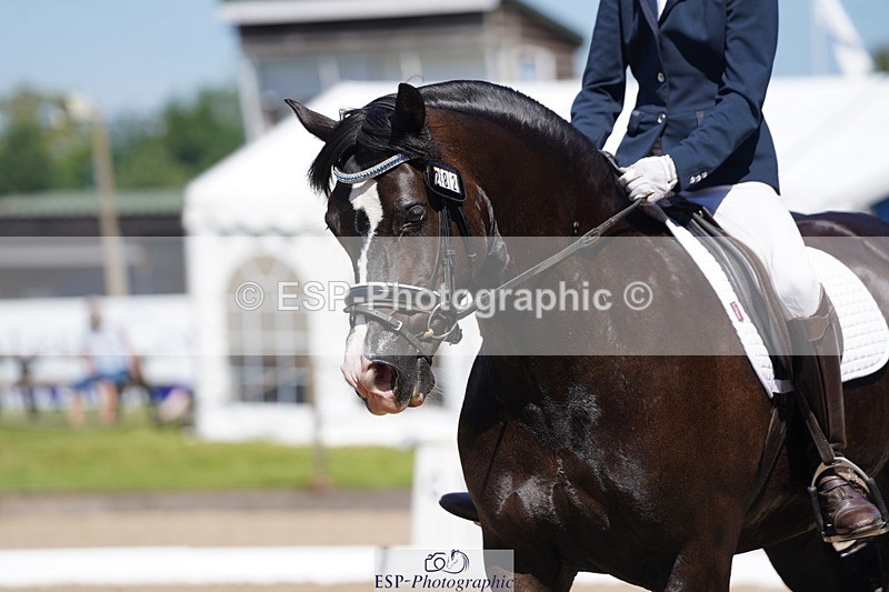 240719-112900-01144 - 282-Edward_Collis-Eglwysfach_Blodwen