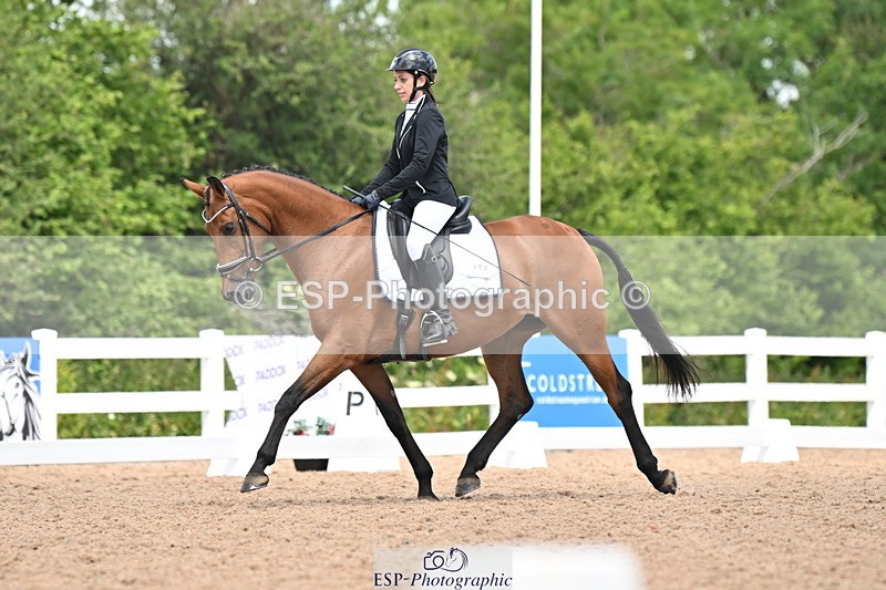 240621A-120335-02029 - Cls 7 BD Elementary 45