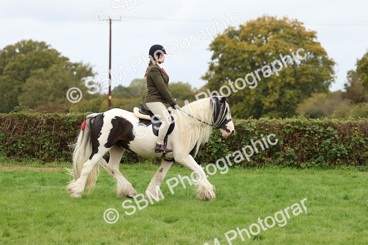 SBM_64483 - S58 - Coloured Pony Ridden