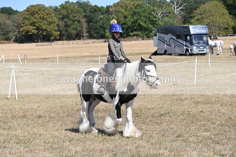 WJ6_9157 - Championship Classes 33-38