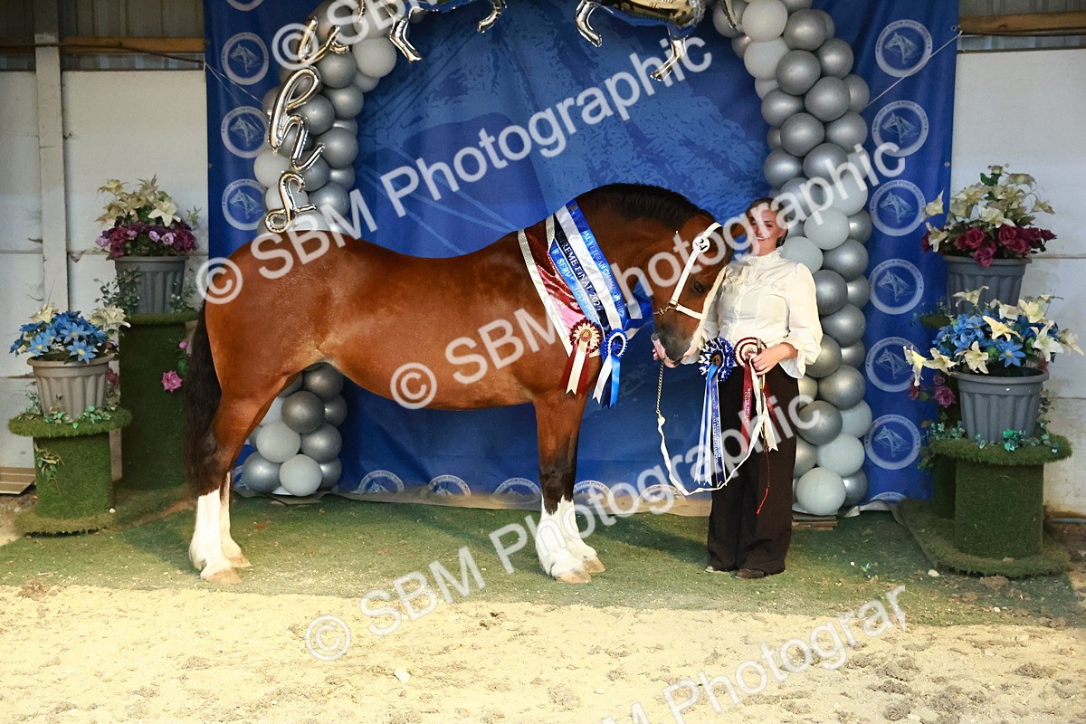 SBM_17984 - M&M Supreme Final Champ