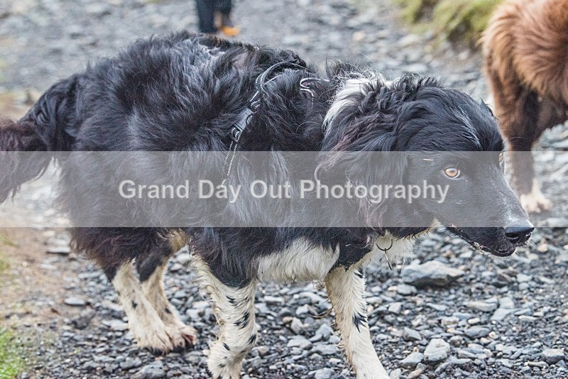Belt Up Blencathra-6 - Kong Belt Up Blencathra Wednesday 8th June 2022