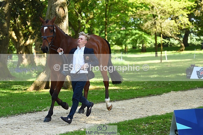 230524-160948-00727 - 264-BALLADEER_JUST_FOR_KICKS-Ellie_Healy-WEDTrotUp+DR