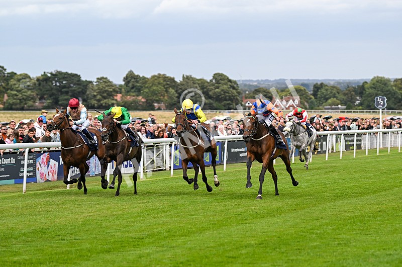 250824-Race 3-Blueandtangerine-3226 - Race 3