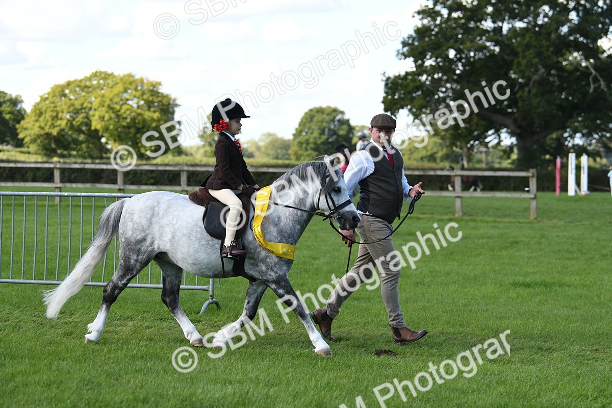 SBM_39703 - S18 - Novice & Newcomers Lead Rein Pony