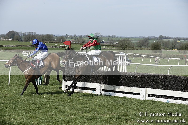 PtP 260317 6 - Mendip Farmers Point-to-Point Ston Easton 26/03/17
