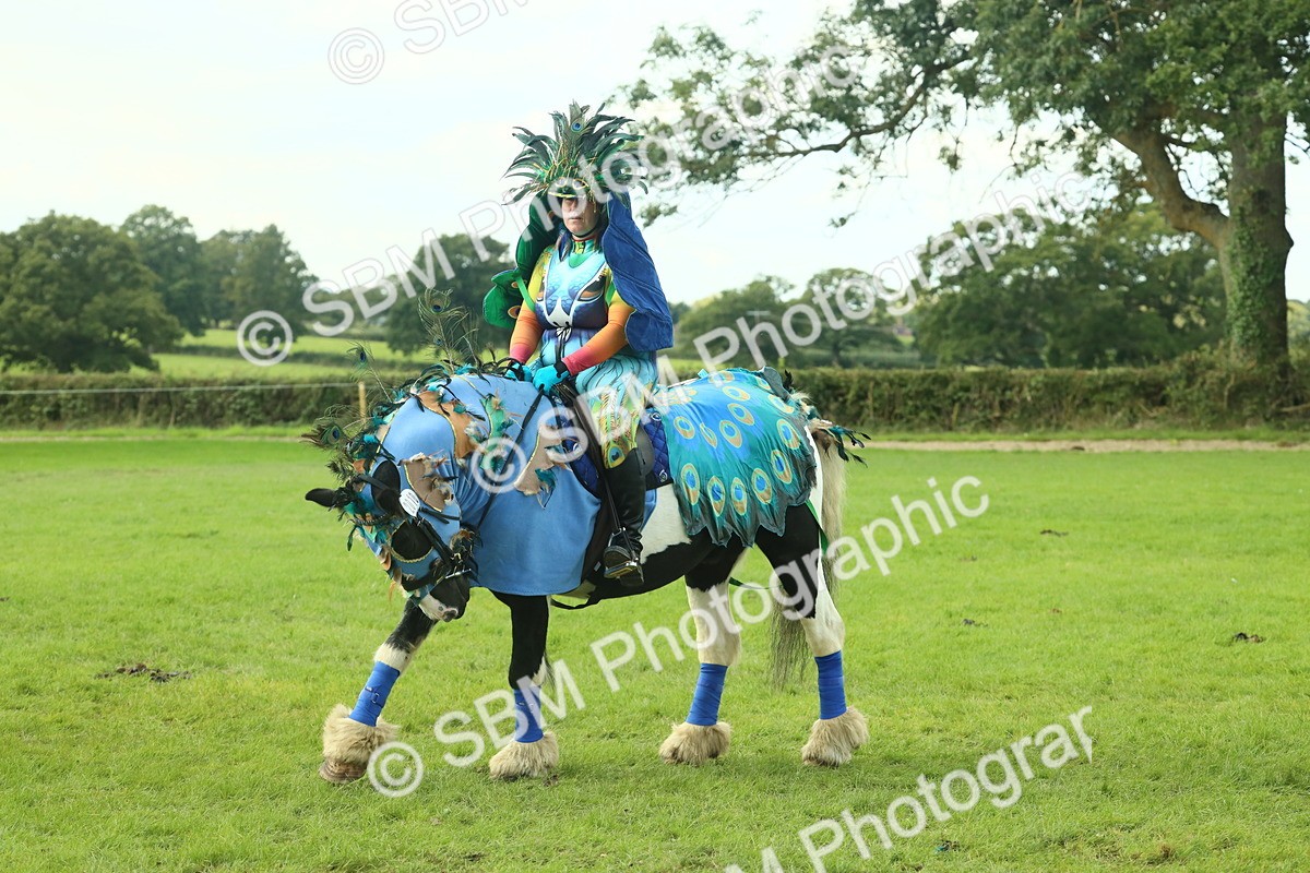 SBM_63595 - S35 - Fancy Dress Showing
