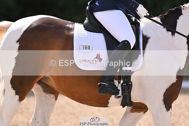 240809-103754-00349 - 160-Sian.Lowe-Pinecroft.Indigo