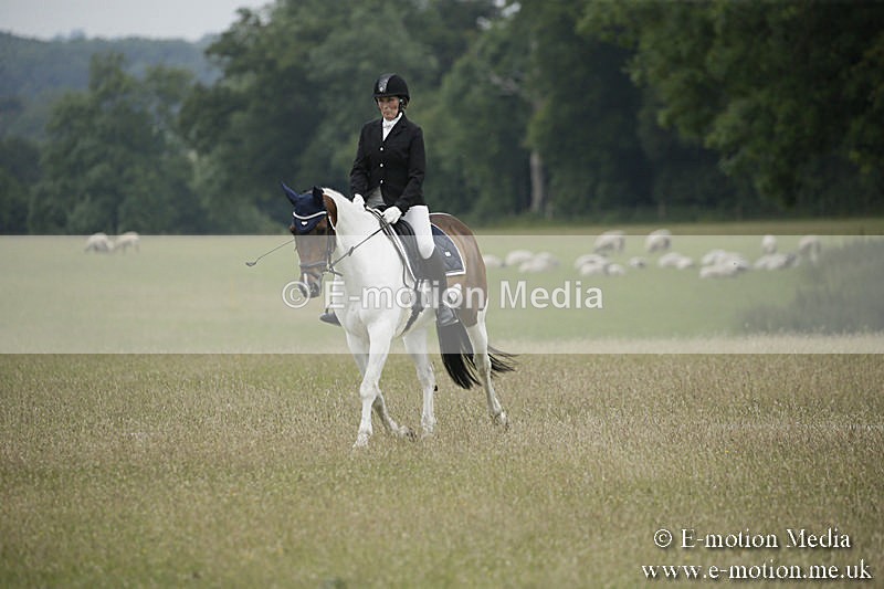 B230619-0637 - Bourne Valley Riding Club Summer Show 23/06/19